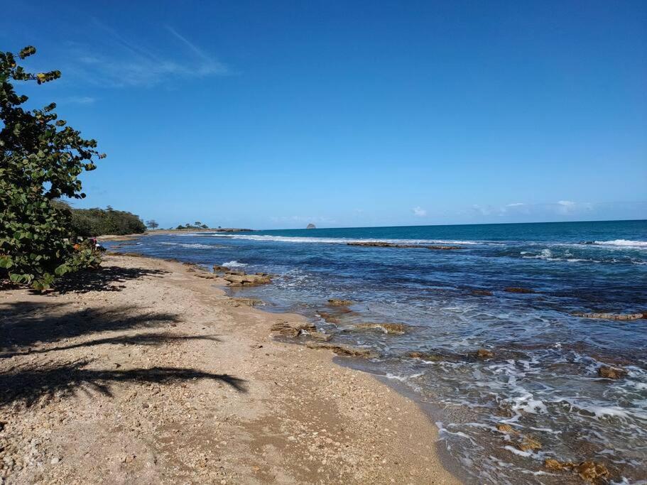 Haut De Villa Avec Vue Sur La Mer Sainte-Rose Zewnętrze zdjęcie