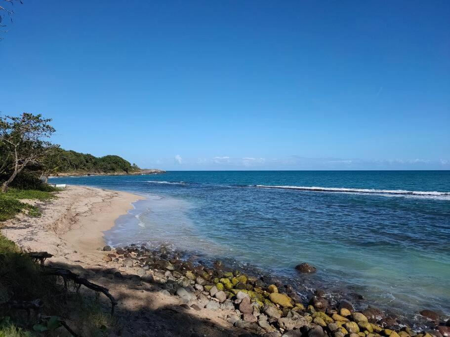 Haut De Villa Avec Vue Sur La Mer Sainte-Rose Zewnętrze zdjęcie