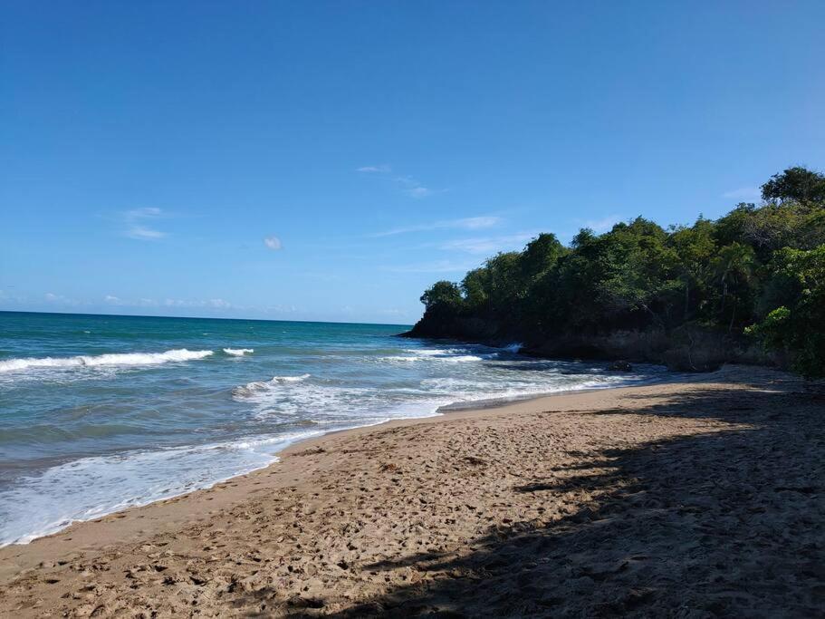 Haut De Villa Avec Vue Sur La Mer Sainte-Rose Zewnętrze zdjęcie